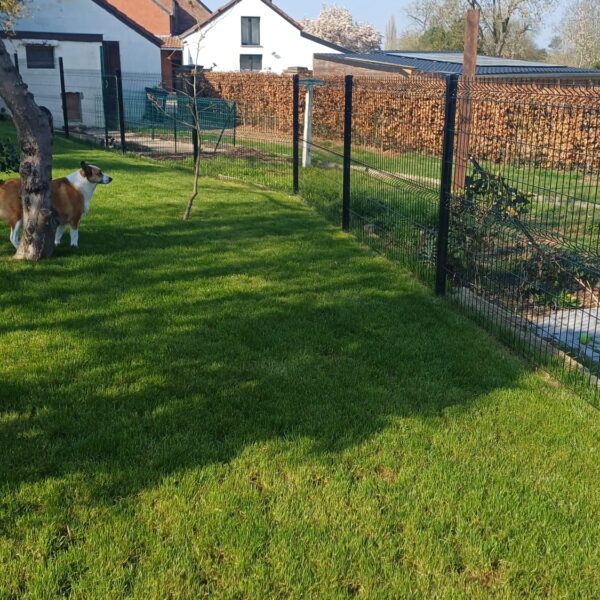 WhatsApp Image 2026-03-21 at 15.13.15