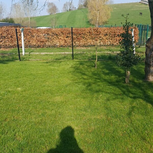 WhatsApp Image 2026-03-21 at 15.13.25