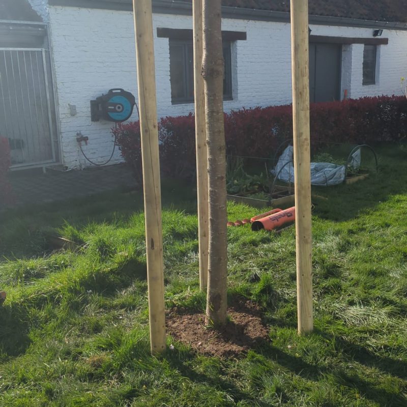 470802947_122172495680267879_7053505820241931218_n