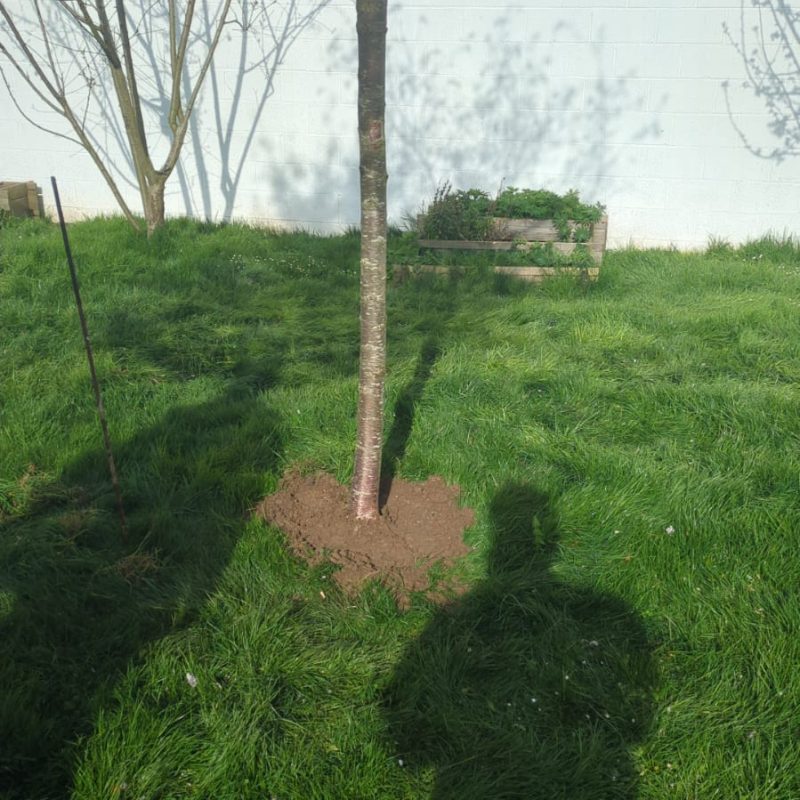 470813979_122172495296267879_567273263539845993_n