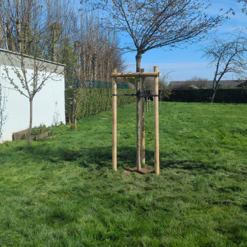 470849809_122172495434267879_3269514238211278599_n