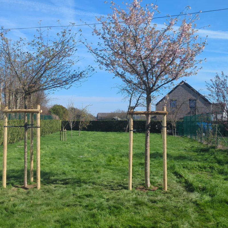 471095045_122172495722267879_4551558078347107705_n