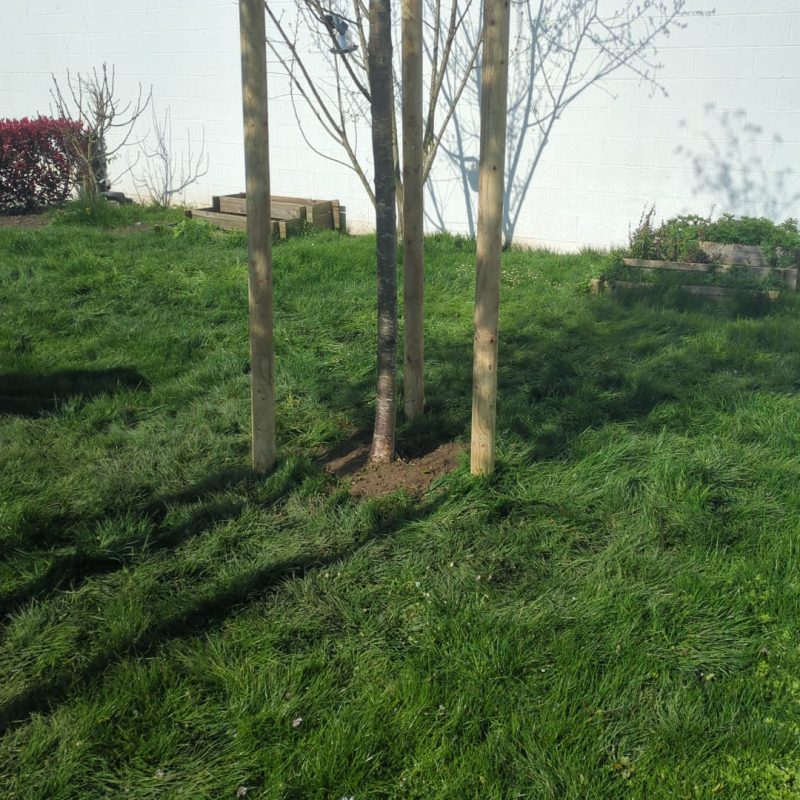 471123182_122172495428267879_4092735515022644828_n