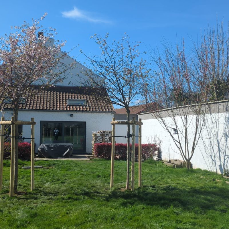 471127955_122172495350267879_5471352415610232618_n