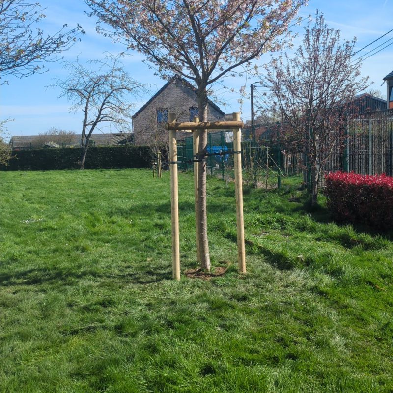 471156048_122172495290267879_386441101126670479_n