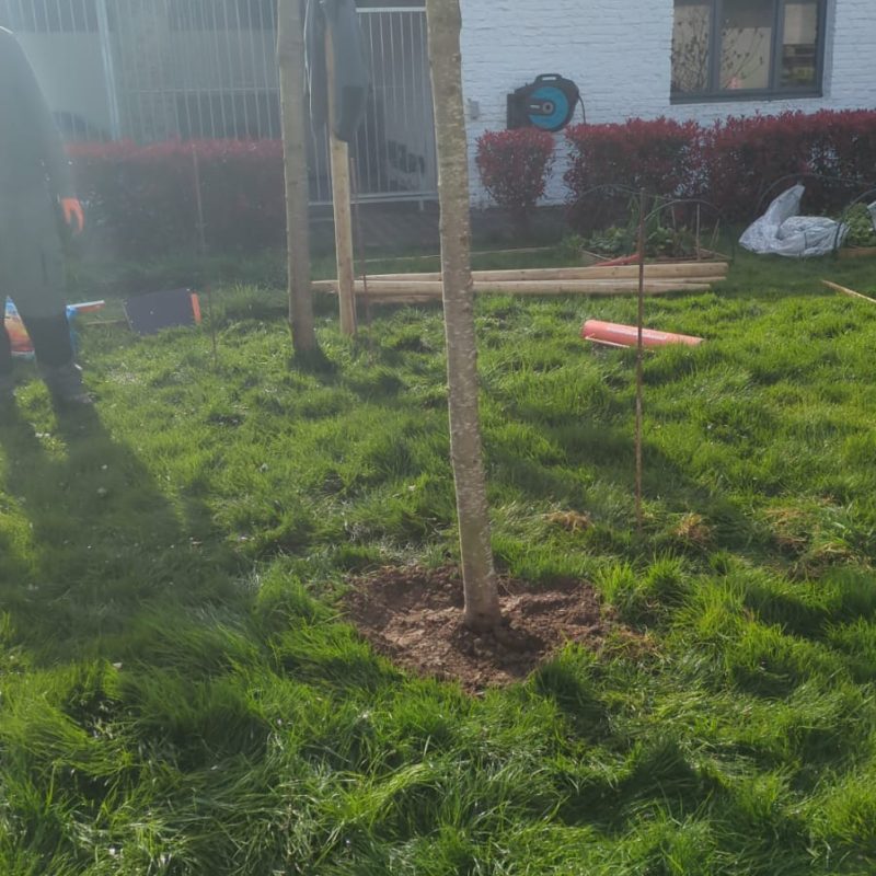 471172597_122172495410267879_8252007804593636922_n