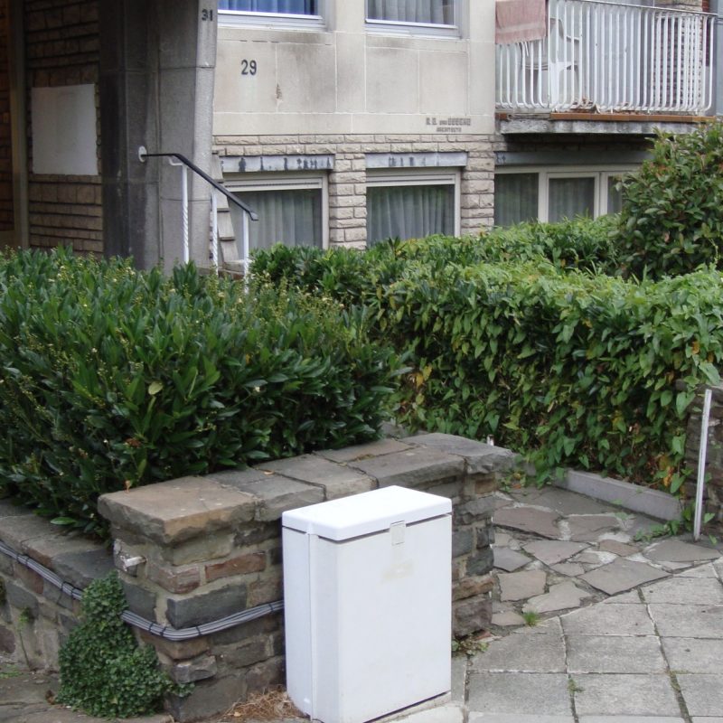 471555273_122173878098267879_5811029351981301327_n