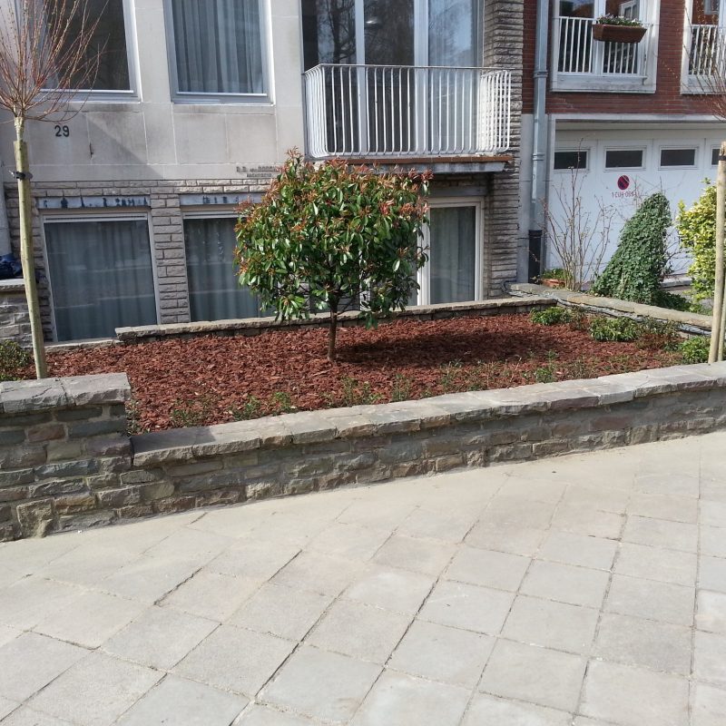 471628471_122173877894267879_173456030217819996_n