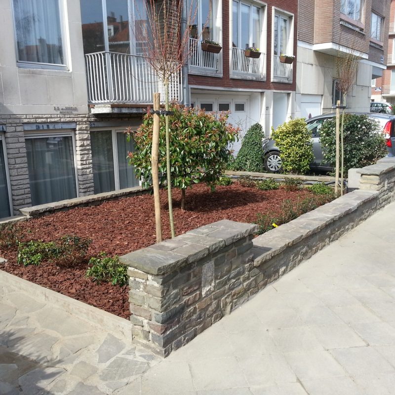 471684922_122173877912267879_1925305919158869678_n