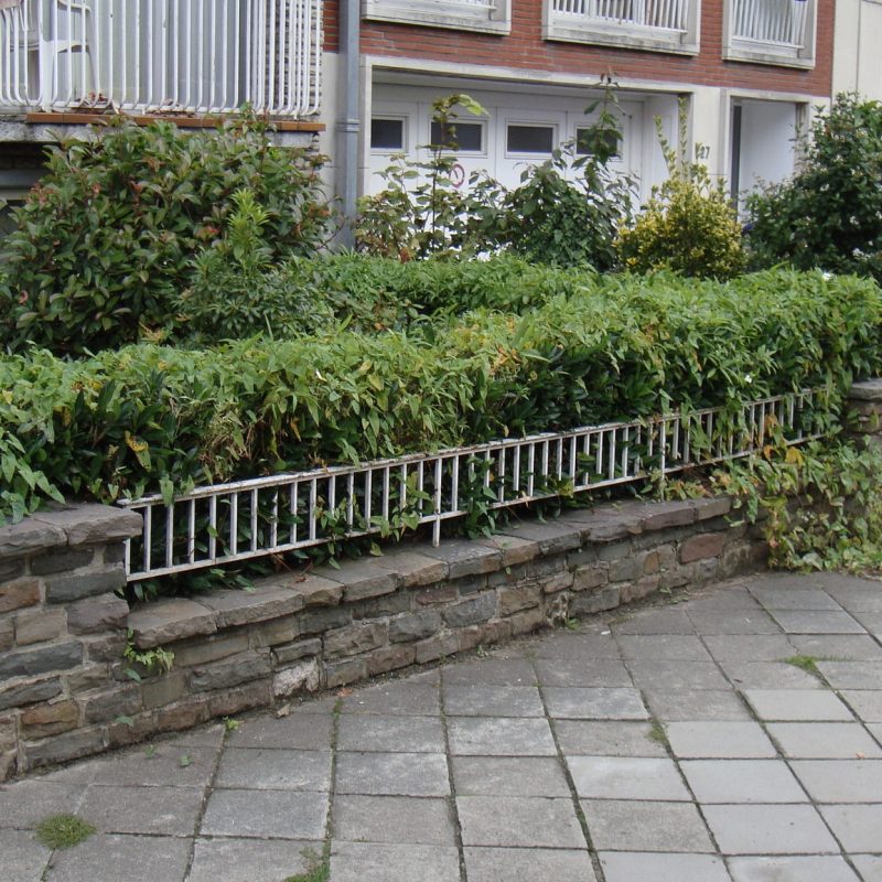 471803312_122173878224267879_635266110194775335_n